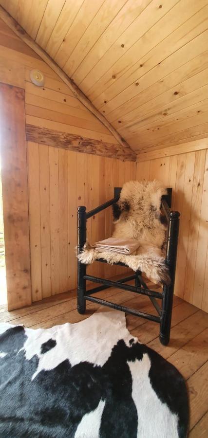 Vittfarnas Hird Vikingaby Bed and Breakfast Sosdala Exterior foto