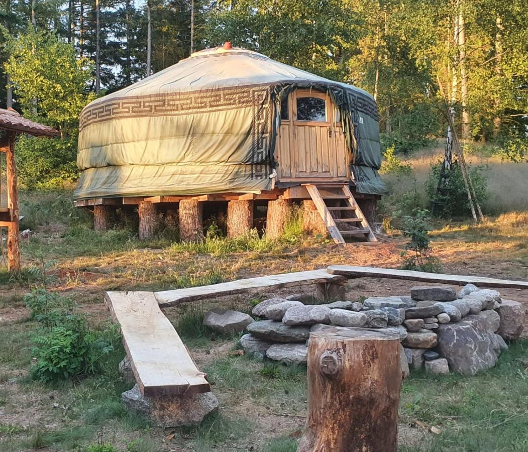Vittfarnas Hird Vikingaby Bed and Breakfast Sosdala Exterior foto