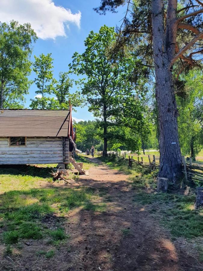 Vittfarnas Hird Vikingaby Bed and Breakfast Sosdala Exterior foto